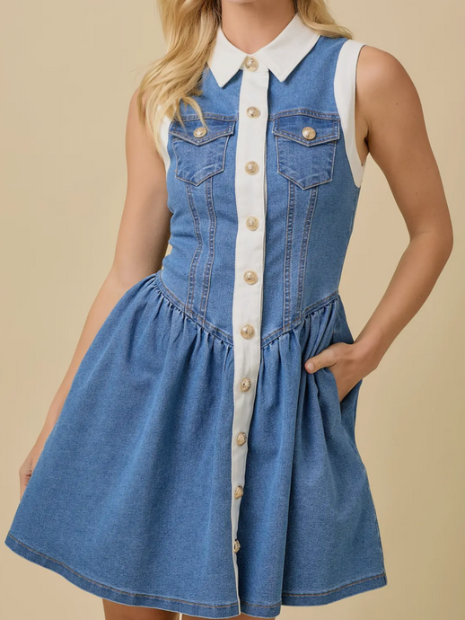 Denim Collared Dress