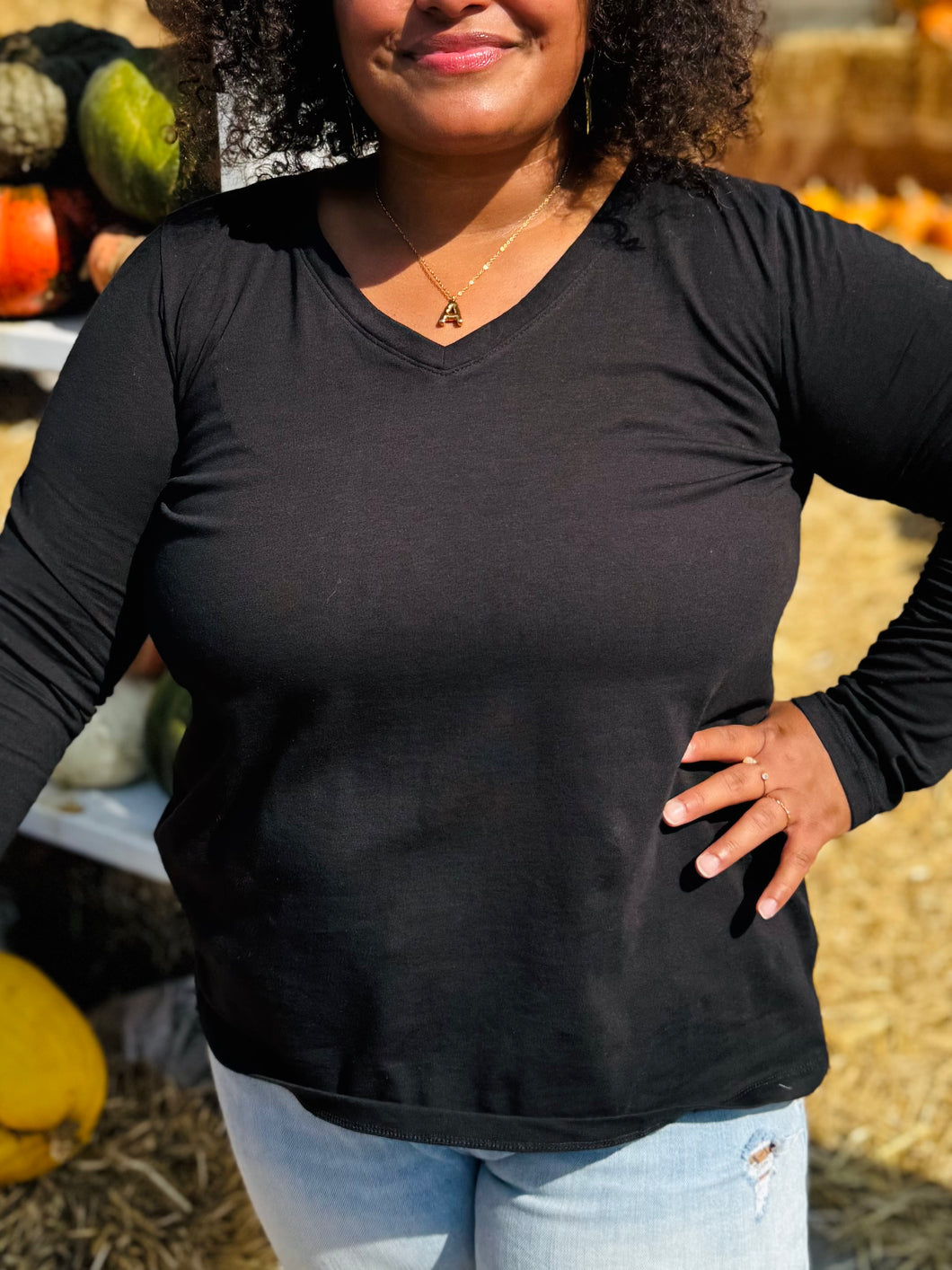 Plus Black V-Neck Long Sleeve