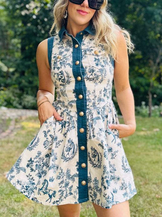Toile Print Button Down Dress
