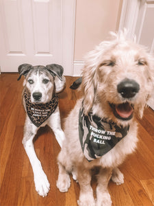 Throw the Ball Dog Bandana